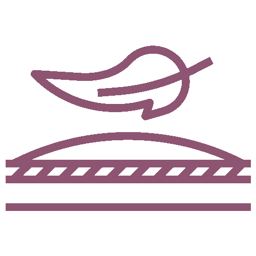 Alt Image